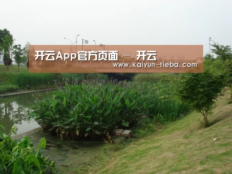 案例展示四(图1)
