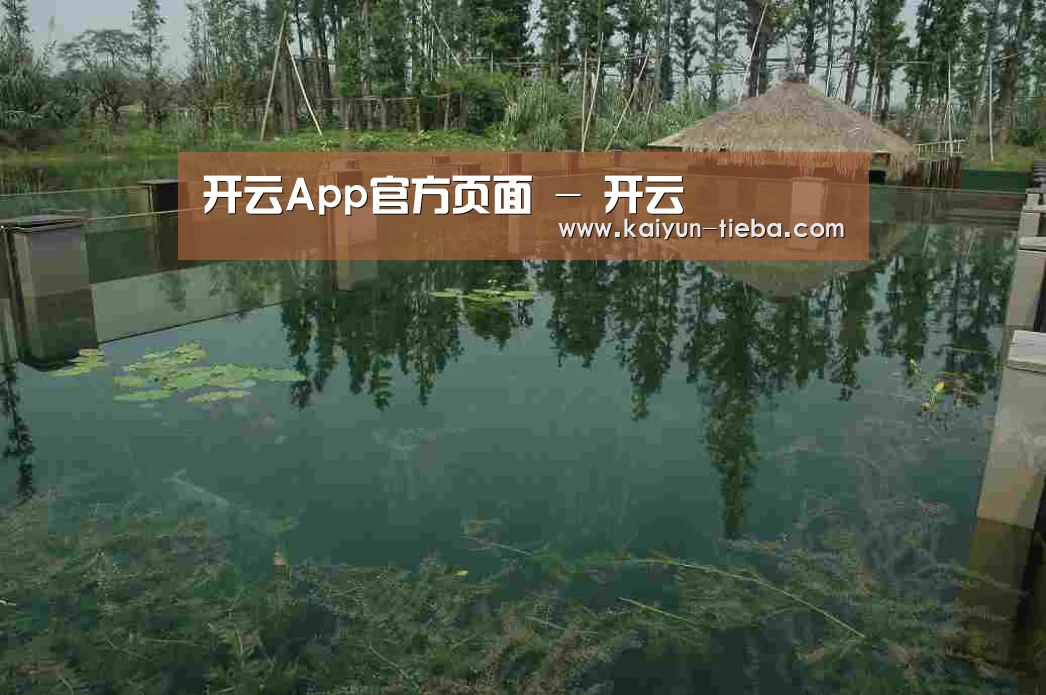 案例展示二(图1)
