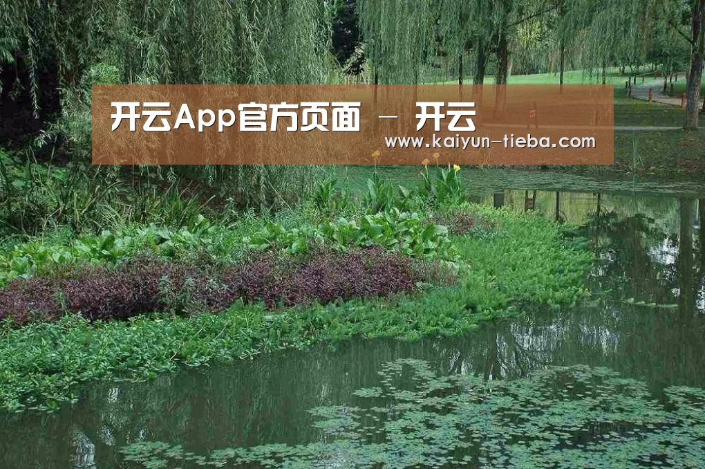 案例展示一