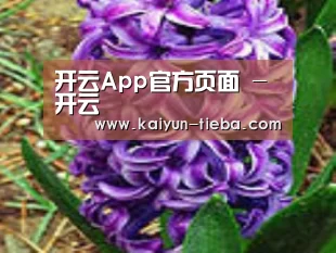产品名称八
