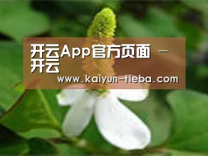 产品名称三