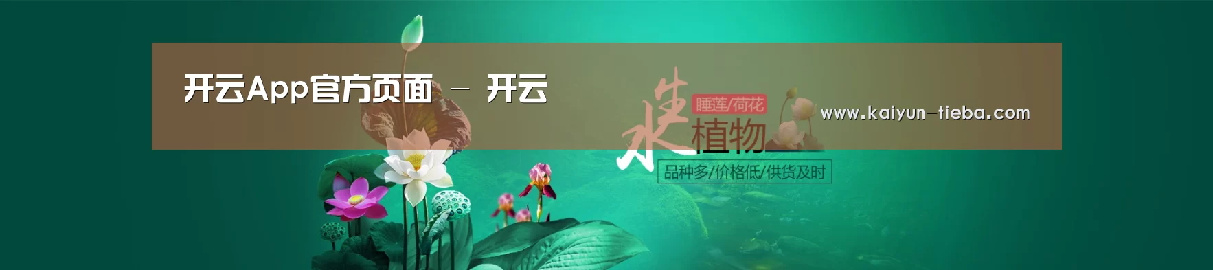 鲜花水草花卉网站模板