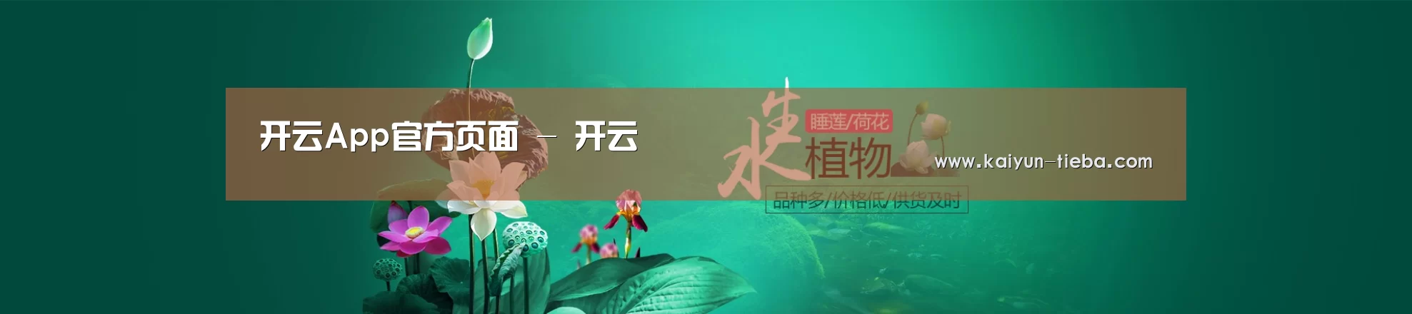 鲜花水草花卉网站模板