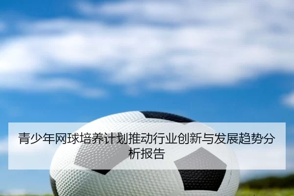 青少年网球培养计划推动行业创新与发展趋势分析报告