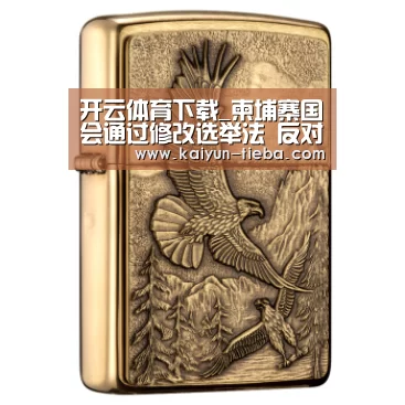 开云体育下载_柬埔寨国会通过修改选举法 反对党批其为牵制对手